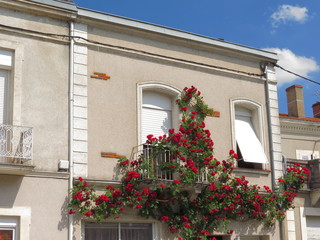 Fototapeta na wymiar The House of the Roses, Lot et Garonne, Aquitaine