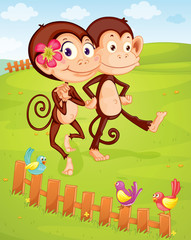 Obraz na płótnie Canvas dwie małpy