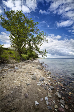 walk on the beach