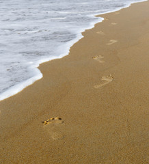 Следы на песке вдоль моря