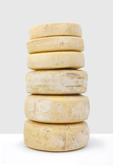 various forms of cheese on white background