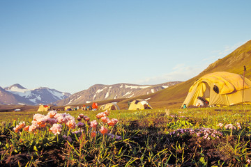 Campsite at Alftavatn, Iceland