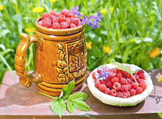 Raspberries on the background of a blossoming flower beds