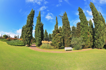 Fototapeta na wymiar Gorgeous lawn in a park