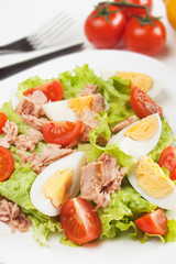 Egg and tuna salad