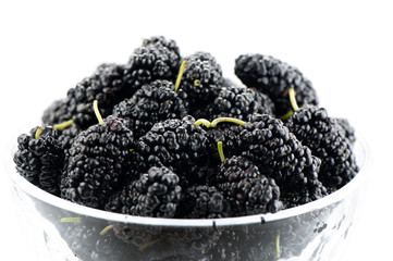 Wild berries