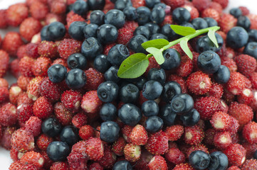 Wild berries