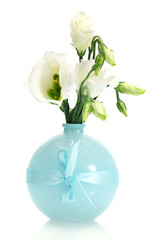 beautiful spring flowers in vase isolated on white
