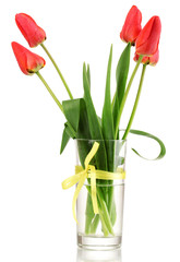 Beautiful tulips in vase isolated on white