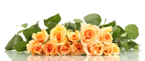 beautiful bouquet of roses isolated on white