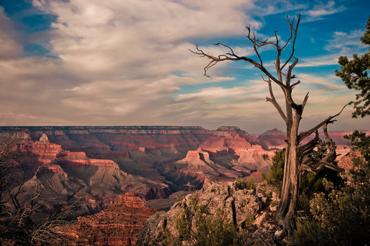 Grand Canyon