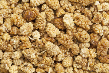 dried mullberry background