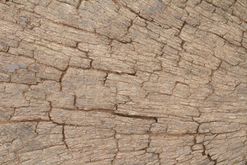 brown wood texture