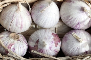 fresh garlic bulbs