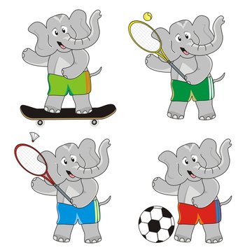 elephant-sports