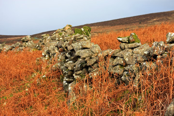 dry stone wall, Dartmoor