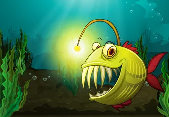  monstervissen in het water © GraphicsRF