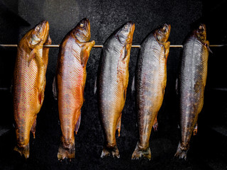 Räucherfisch im Räucherofen.