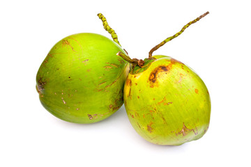 Coconut on white background.