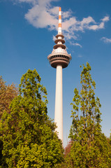 Fototapeta premium Fernsehturm Mannheim