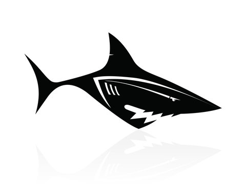 The vector image of a black shark, logo, sign, icon