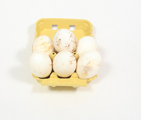 goose eggs of biological farm on white background