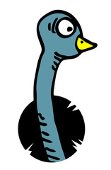 Ostrich face