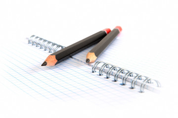 Blank page and pencil.