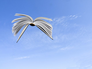 Flying book