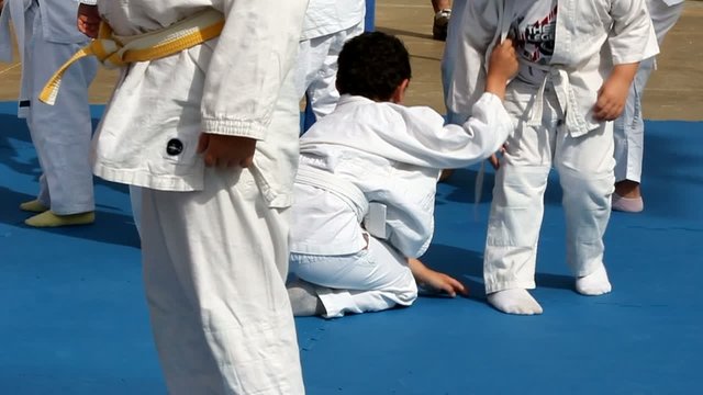 Judo exhibition