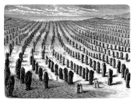 Menhirs Alignements - Carnak - Brittany - 19th century
