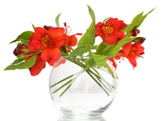 Alstroemeria in vase isolated on white