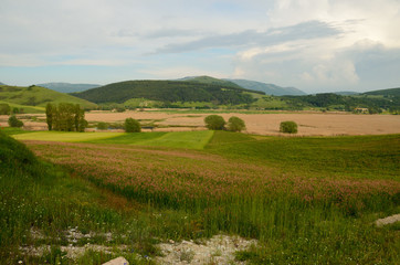 Umbria in the spring