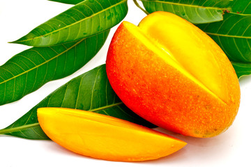 mango on white background
