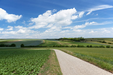 Fototapeta na wymiar Landstraße mit Felder