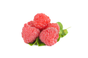fresh raspberry