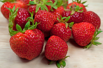 Erdbeeren - Fragaria
