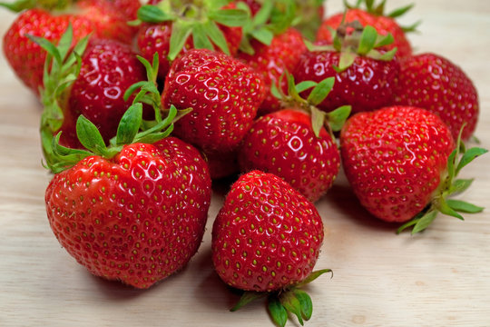 Erdbeeren - Fragaria