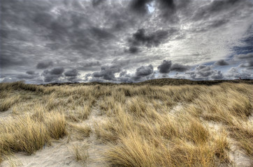 Dunes in Holland