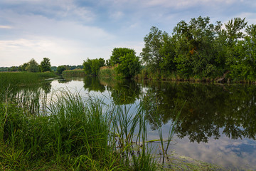 Река вечером