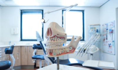 dentures at a dentist office