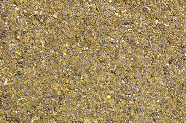 Close-up on crushed seed mix