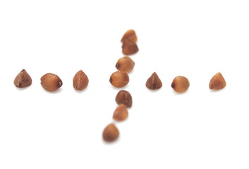 buckwheat on white background. close