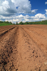 plow field