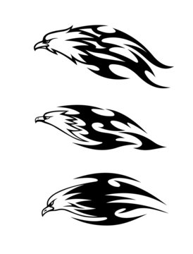 Eagle tattoos with flames