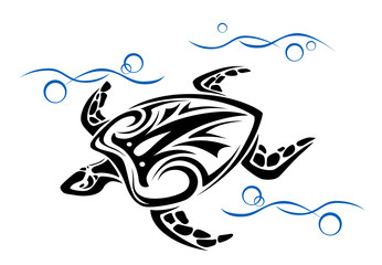Old turtle swim in water