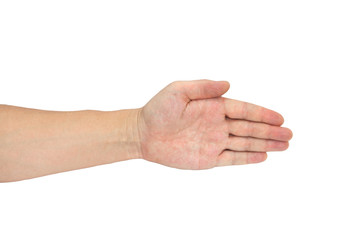 hand isolated on a white background