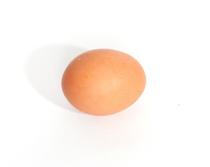 egg isolated in white background