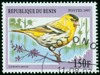 stamp printed by Benin, shows bird