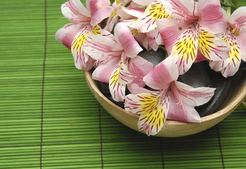 orchid flower floating in bowl on mat